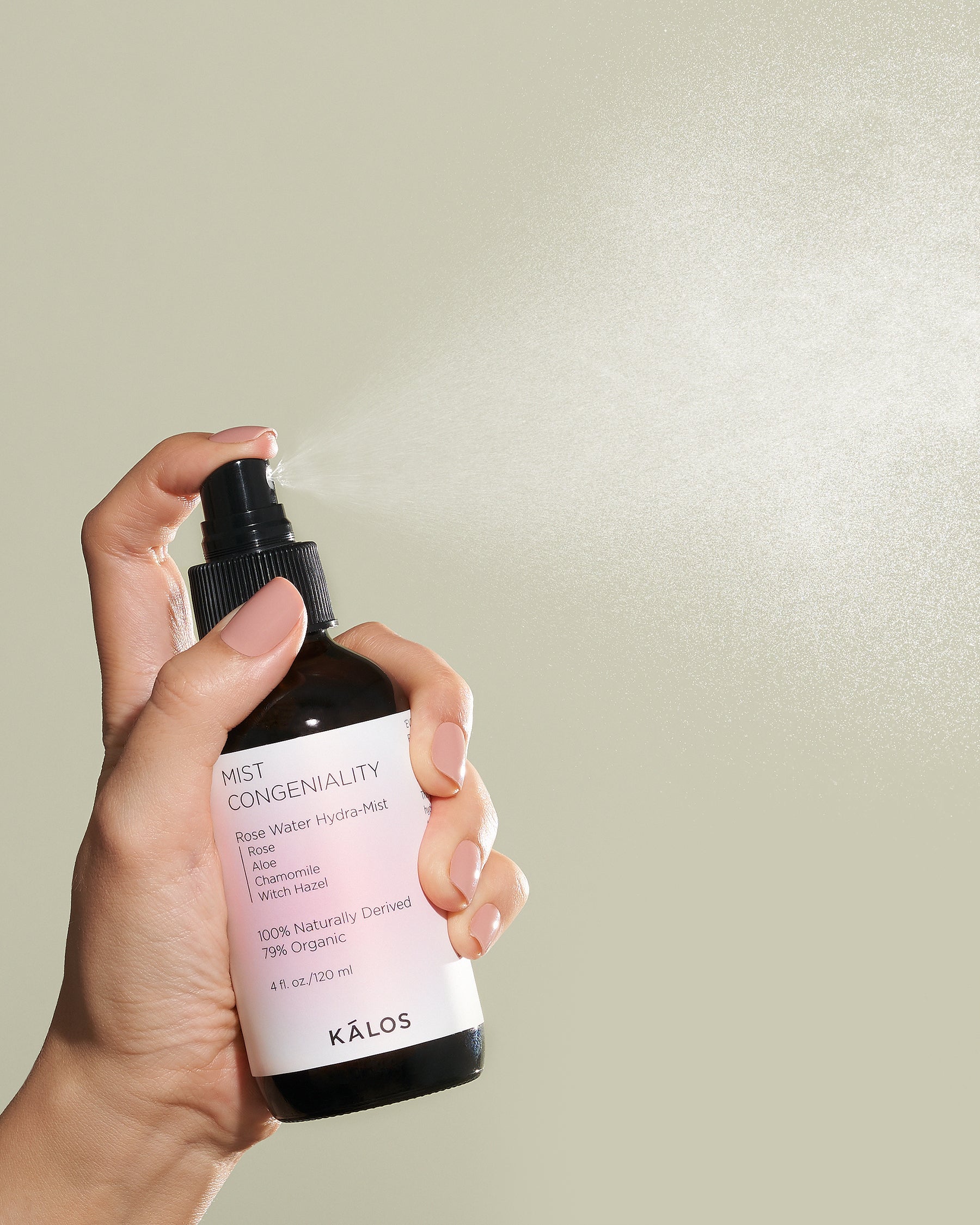 Mist Congeniality | Rose Water Hydra Mist